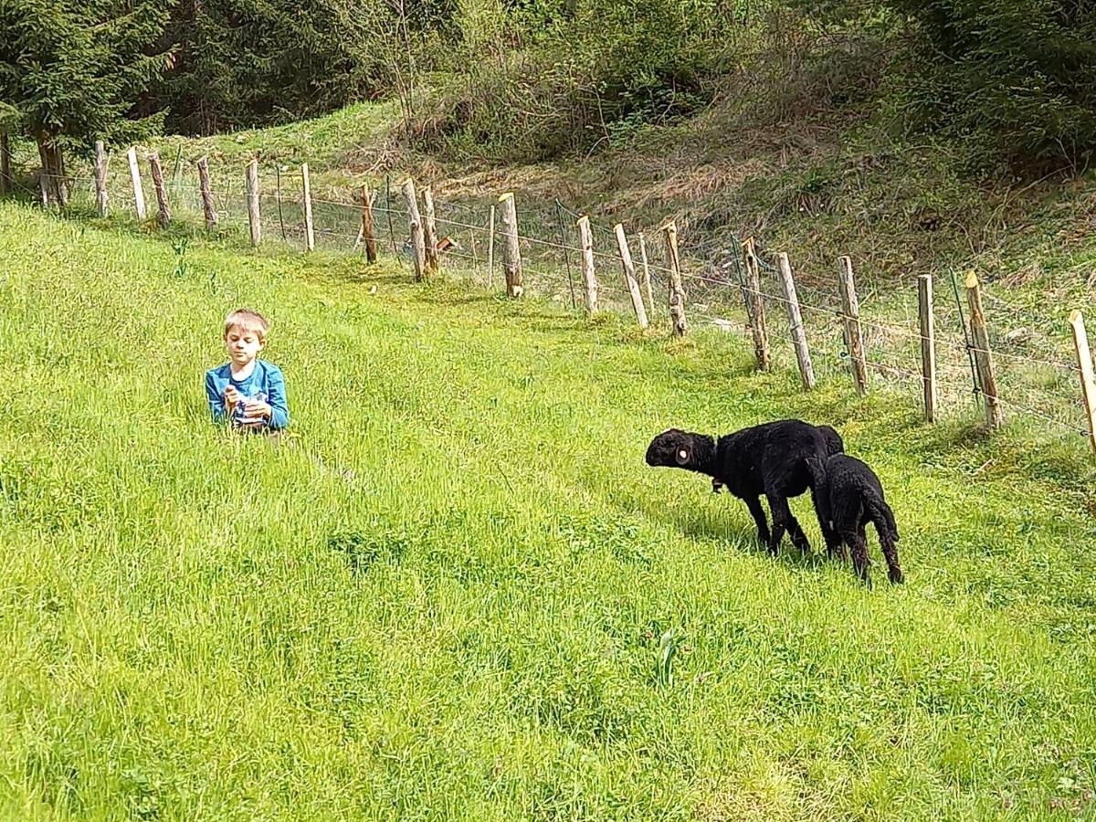 Ferienwohnungen Weberbauer Sankt Martin bei Lofer Eksteriør bilde